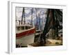 Shrimp Boats Tied to Dock, Darien, Georgia, USA-Joanne Wells-Framed Photographic Print