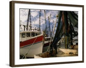 Shrimp Boats Tied to Dock, Darien, Georgia, USA-Joanne Wells-Framed Photographic Print