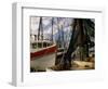 Shrimp Boats Tied to Dock, Darien, Georgia, USA-Joanne Wells-Framed Photographic Print