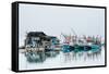 Shrimp fishing boats and house, Koh Phangan, Thailand, Southeast Asia-John Alexander-Framed Stretched Canvas