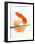 Shrimp on Chopsticks-null-Framed Photographic Print