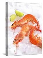 Shrimp on Ice-Jürgen Holz-Stretched Canvas