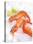 Shrimp on Ice-Jürgen Holz-Stretched Canvas