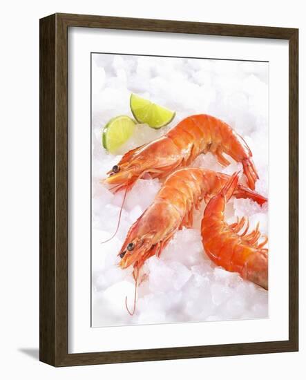 Shrimp on Ice-Jürgen Holz-Framed Photographic Print