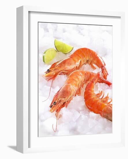 Shrimp on Ice-Jürgen Holz-Framed Photographic Print