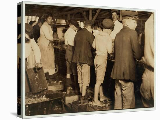 Shrimp Pickers, Including 8 Year Old Max, at Dunbar, Lopez, Dukate Co, Biloxi, Mississippi, 1911-Lewis Wickes Hine-Stretched Canvas