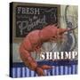 Shrimp-Fiona Stokes-Gilbert-Stretched Canvas