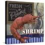 Shrimp-Fiona Stokes-Gilbert-Stretched Canvas