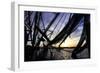 Shrimpers at Sunrise I-Alan Hausenflock-Framed Photographic Print