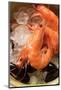Shrimps and Mussels in Bowl with Ice Cubes-Foodcollection-Mounted Photographic Print
