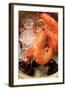 Shrimps and Mussels in Bowl with Ice Cubes-Foodcollection-Framed Photographic Print