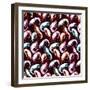 Shrimps-meganeura-Framed Art Print