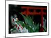 Shrine Foxes, Japan-Petra Wels-Mounted Giclee Print