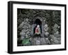 Shrine of Buddha with Flower Decoration, Bali, Indonesia-Keren Su-Framed Photographic Print