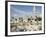 Shrine of Hazrat Ali, Mazar-I-Sharif, Afghanistan-Jane Sweeney-Framed Photographic Print