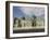 Shrine of Hazrat Ali, Who was Assassinated in 661, Mazar-I-Sharif, Afghanistan-Jane Sweeney-Framed Photographic Print