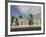 Shrine of Hazrat Ali, Who was Assassinated in 661, Mazar-I-Sharif, Afghanistan-Jane Sweeney-Framed Photographic Print