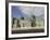 Shrine of Hazrat Ali, Who was Assassinated in 661, Mazar-I-Sharif, Afghanistan-Jane Sweeney-Framed Photographic Print