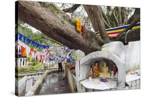 Shrine on a Bodhi Tree, UNESCO World Heritage Site, Kandy, Hill Country, Sri Lanka, Asia-Christian Kober-Stretched Canvas
