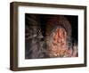 Shrine to the Hindu Elephant Headed God, Ganesh-Don Smith-Framed Photographic Print