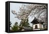 Shrine under Cherry Blossoms in the Geisha Quarter of Gion, Kyoto, Japan, Asia-Michael Runkel-Framed Stretched Canvas