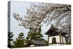 Shrine under Cherry Blossoms in the Geisha Quarter of Gion, Kyoto, Japan, Asia-Michael Runkel-Stretched Canvas