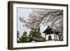 Shrine under Cherry Blossoms in the Geisha Quarter of Gion, Kyoto, Japan, Asia-Michael Runkel-Framed Photographic Print