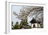 Shrine under Cherry Blossoms in the Geisha Quarter of Gion, Kyoto, Japan, Asia-Michael Runkel-Framed Photographic Print