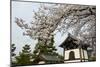 Shrine under Cherry Blossoms in the Geisha Quarter of Gion, Kyoto, Japan, Asia-Michael Runkel-Mounted Photographic Print
