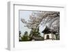 Shrine under Cherry Blossoms in the Geisha Quarter of Gion, Kyoto, Japan, Asia-Michael Runkel-Framed Photographic Print