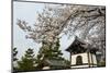 Shrine under Cherry Blossoms in the Geisha Quarter of Gion, Kyoto, Japan, Asia-Michael Runkel-Mounted Photographic Print