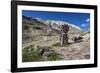 Shrine with Argyle Sheep horns and Blue sheep horns, lower Nyerak village, Ladakh, India, Himalayas-Thomas L. Kelly-Framed Photographic Print