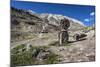 Shrine with Argyle Sheep horns and Blue sheep horns, lower Nyerak village, Ladakh, India, Himalayas-Thomas L. Kelly-Mounted Photographic Print