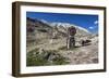 Shrine with Argyle Sheep horns and Blue sheep horns, lower Nyerak village, Ladakh, India, Himalayas-Thomas L. Kelly-Framed Photographic Print