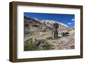 Shrine with Argyle Sheep horns and Blue sheep horns, lower Nyerak village, Ladakh, India, Himalayas-Thomas L. Kelly-Framed Photographic Print