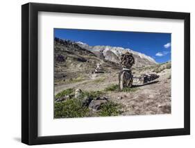 Shrine with Argyle Sheep horns and Blue sheep horns, lower Nyerak village, Ladakh, India, Himalayas-Thomas L. Kelly-Framed Photographic Print