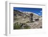 Shrine with Argyle Sheep horns and Blue sheep horns, lower Nyerak village, Ladakh, India, Himalayas-Thomas L. Kelly-Framed Photographic Print