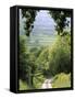 Shropshire, England-Peter Adams-Framed Stretched Canvas