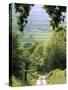 Shropshire, England-Peter Adams-Stretched Canvas