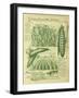 Shropshire Peas-Vintage Apple Collection-Framed Giclee Print