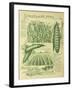 Shropshire Peas-Vintage Apple Collection-Framed Giclee Print