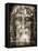 Shroud of Turin Face Detail-null-Framed Stretched Canvas