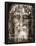 Shroud of Turin Face Detail-null-Framed Poster