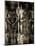 Shroud of Turin Full Image-null-Mounted Poster