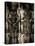 Shroud of Turin Full Image-null-Stretched Canvas