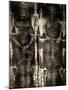 Shroud of Turin Full Image-null-Mounted Poster