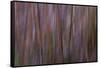 Shrouded 6-Jacob Berghoef-Framed Stretched Canvas
