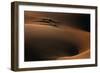 Shrub-Mohammadreza Momeni-Framed Photographic Print