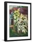 Shrubbery In Bloom, 2011-Marta Martonfi-Benke-Framed Giclee Print