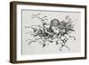 Shrunken Alice After Eating Some Of the Caterpillar's Mushroom-Arthur Rackham-Framed Giclee Print